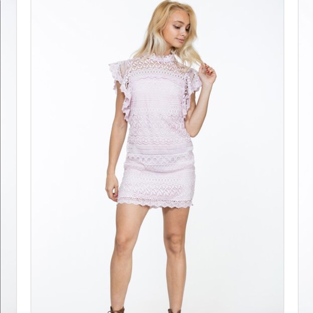 Boutique Lace Dress - Picture 7 of 8